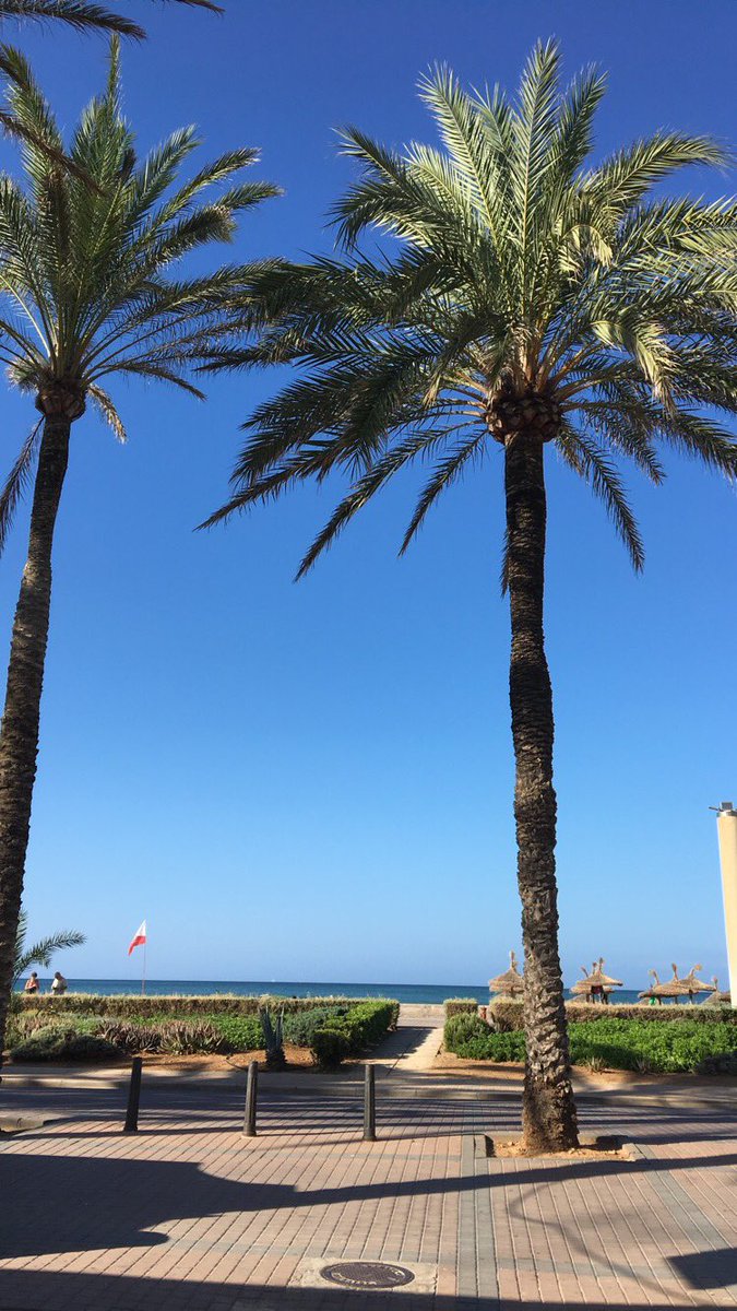 leeshahicks's tweet photo. 3 nights in Palma de Mallorca ☀️ ... perks of the new job ✈️ https://t.co/WZMNLR2F4c