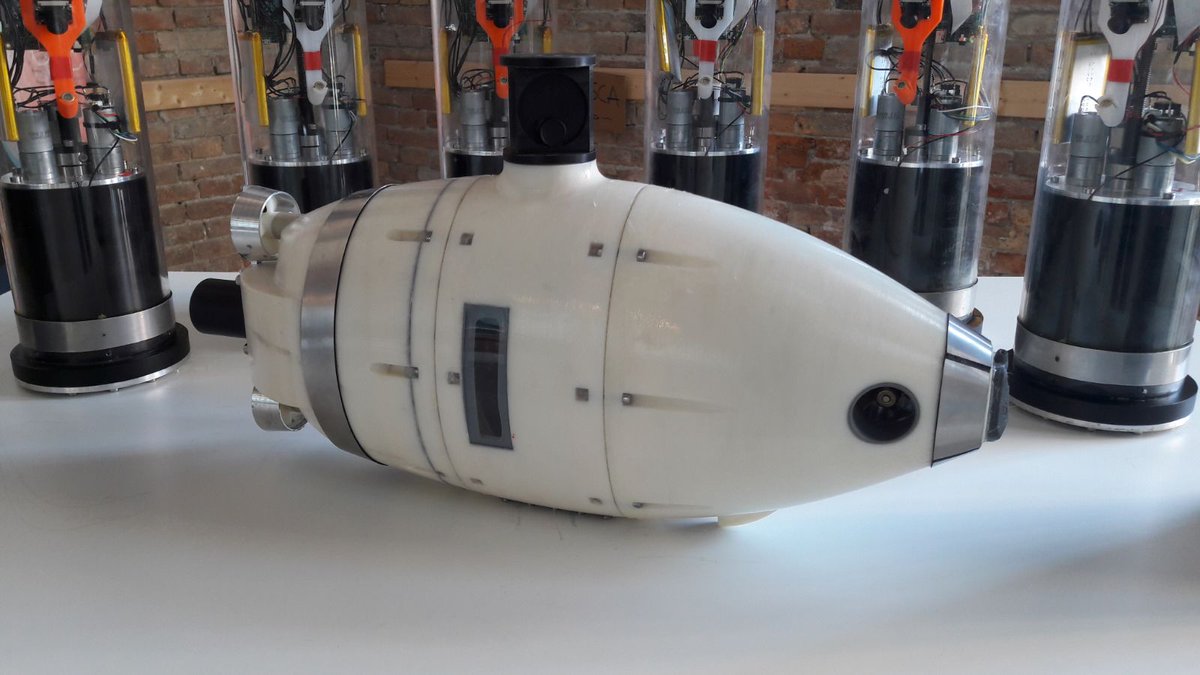 TgrRaiVeneto's tweet photo. Pesci #robot per analizzare l'habitat subacqueo veneziano. Presentato a #Venezia l'innovativo progetto europeo #Subcultron. https://t.co/zO4x2OIwQR