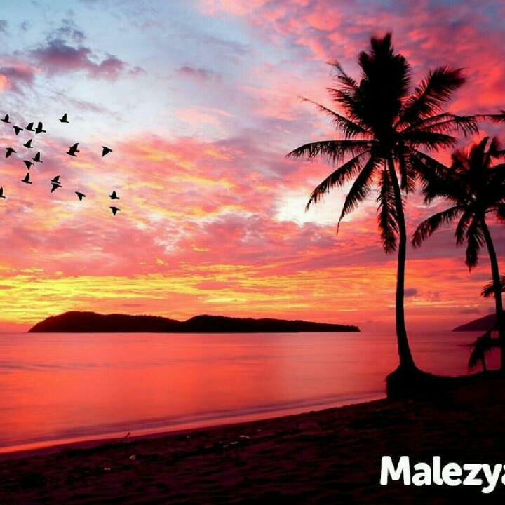 JaÑan 🇵🇰 (@UMARAli43206363) | Twitter