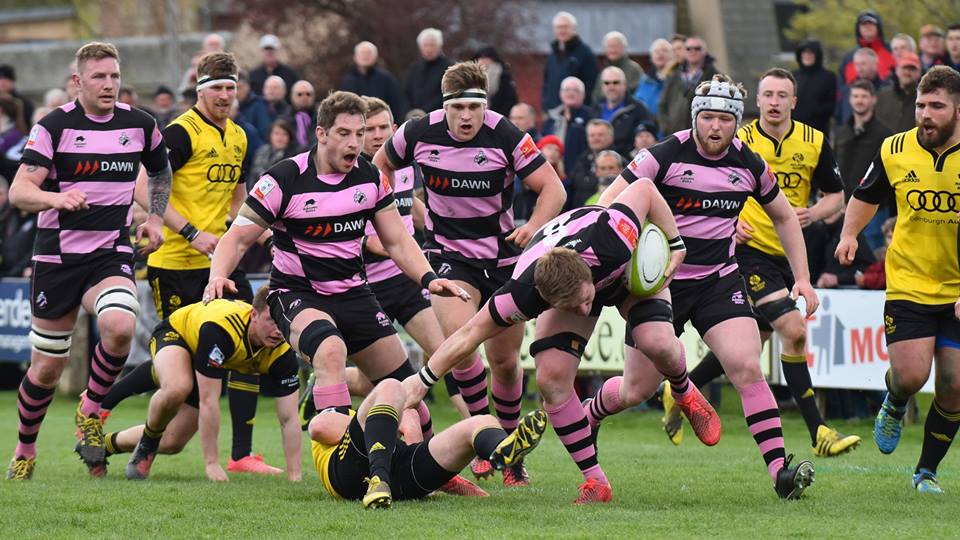 Ayr RFC tweet media