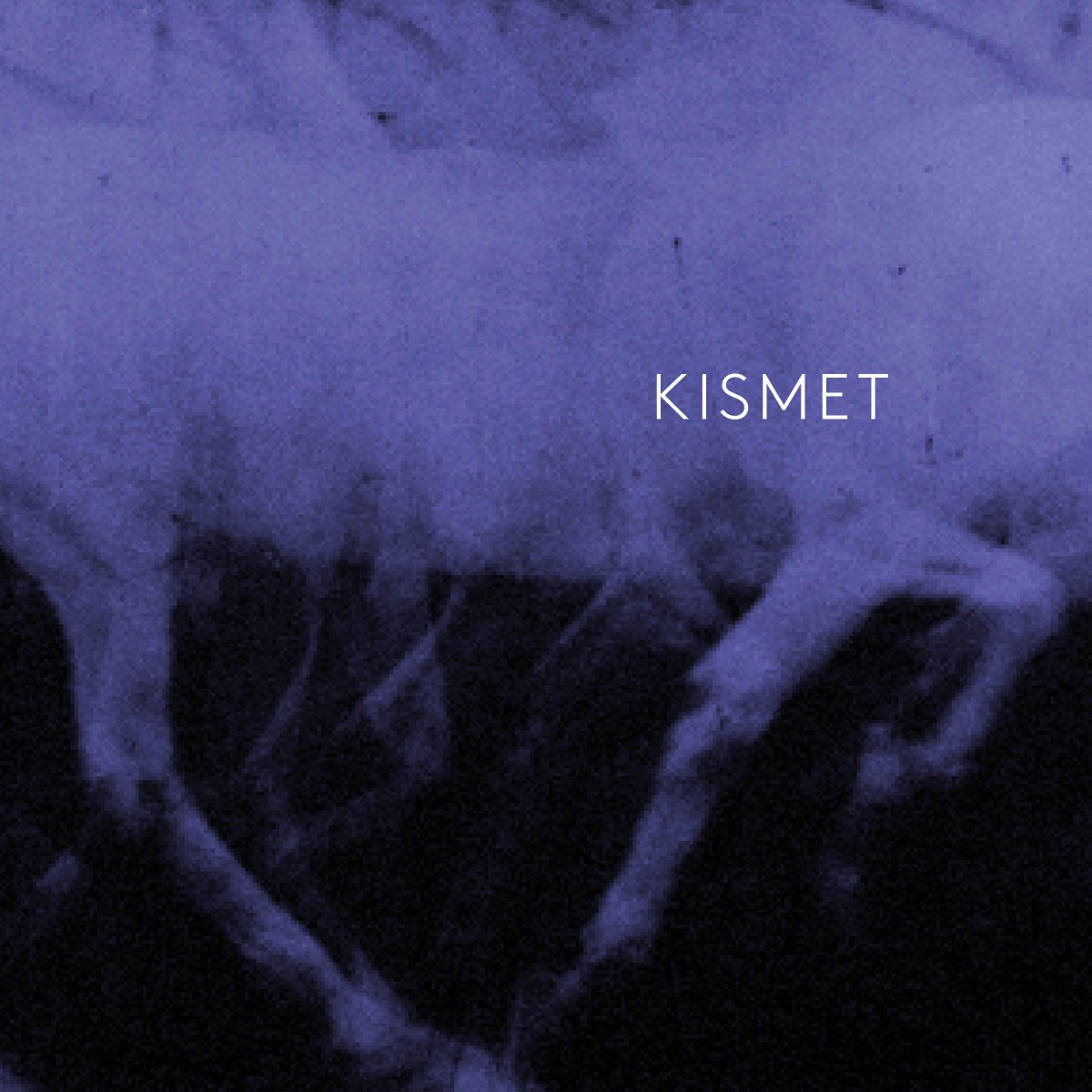 #Tuneoftheday Sgrow - »Kismet«: passion-prty.de/2017/09/sgrow-… <a href="/sgrowband/">sgrow</a>