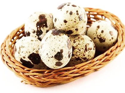 SagraFoodsZA's tweet photo. You asked, we listened... #QuailEggs now available. Contact us for further information #PremiumIngredients #DistributedBySagra https://t.co/cA7dlRwhSC