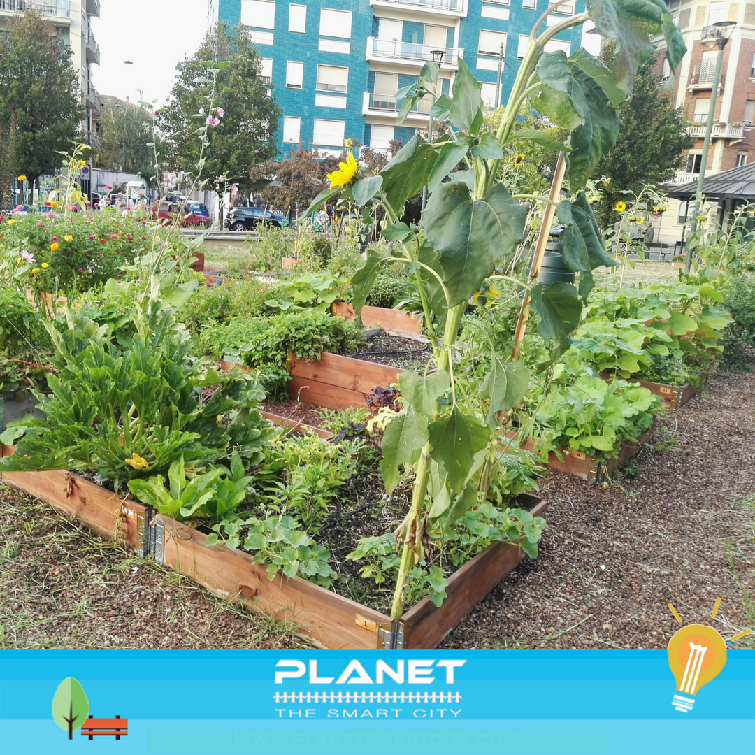 PlanetSmartCity's tweet photo. A mesi dalla fine di #PlanetSmartSquare, i #Cittadini continuano a portare avanti gli #OrtiUrbani, le persone sono il cuore della #SmartCity https://t.co/Xm5Pp4wNGu