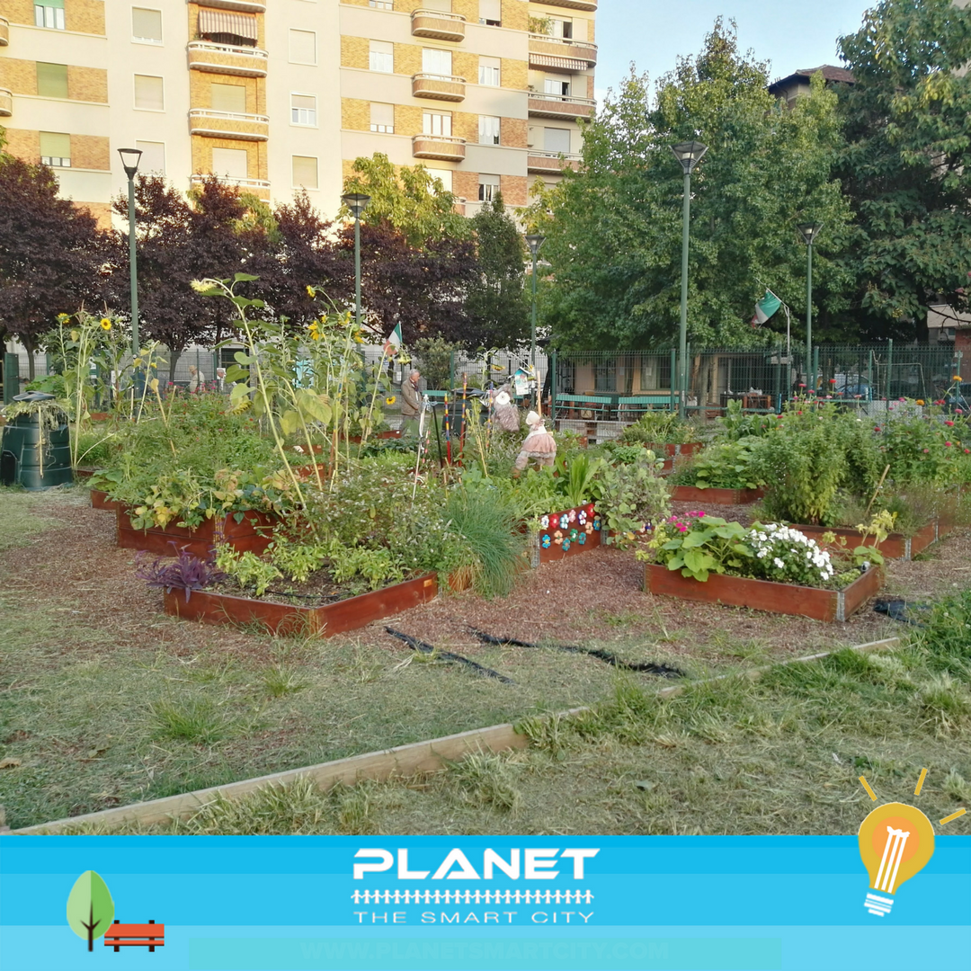 PlanetSmartCity's tweet photo. A mesi dalla fine di #PlanetSmartSquare, i #Cittadini continuano a portare avanti gli #OrtiUrbani, le persone sono il cuore della #SmartCity https://t.co/Xm5Pp4wNGu