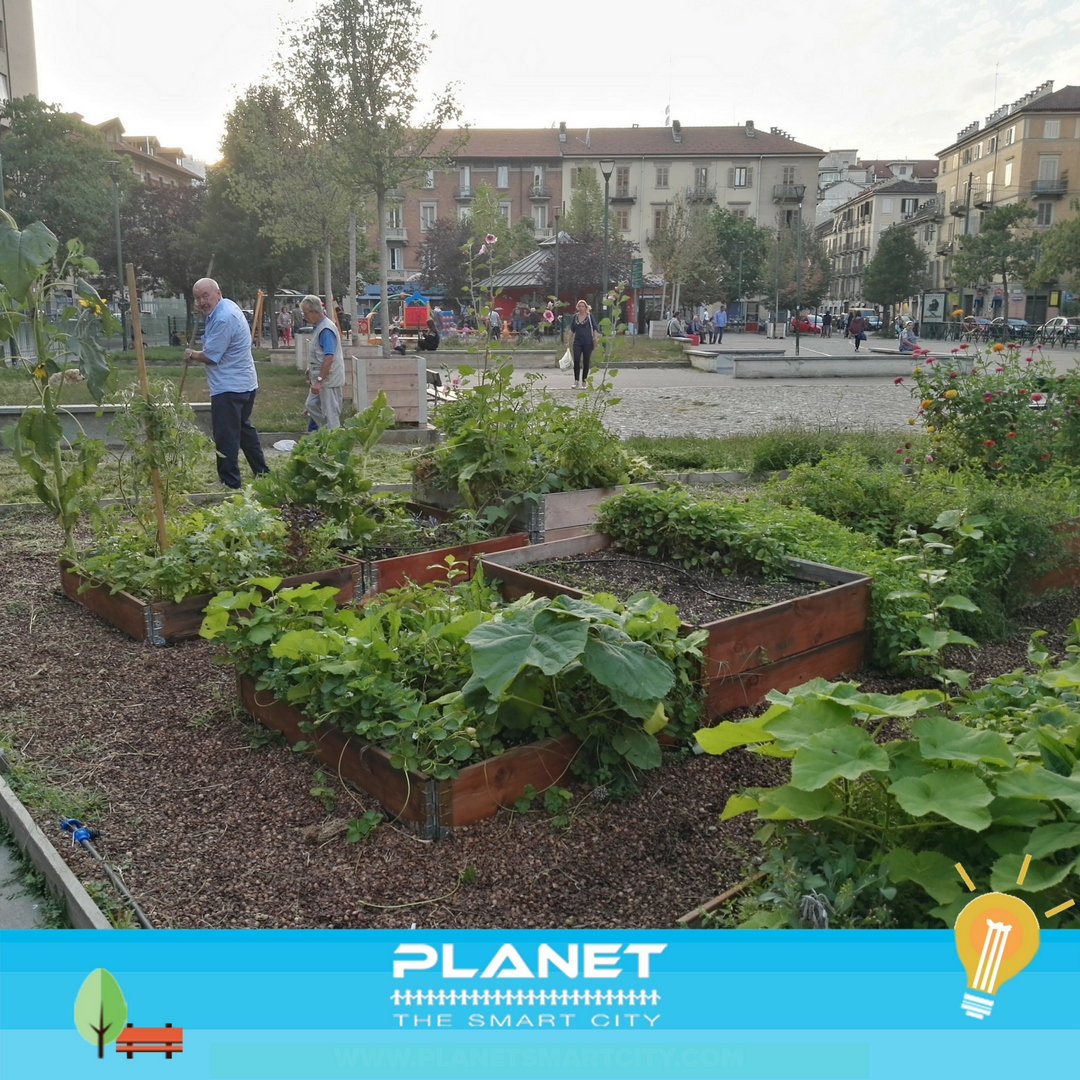 PlanetSmartCity's tweet photo. A mesi dalla fine di #PlanetSmartSquare, i #Cittadini continuano a portare avanti gli #OrtiUrbani, le persone sono il cuore della #SmartCity https://t.co/Xm5Pp4wNGu