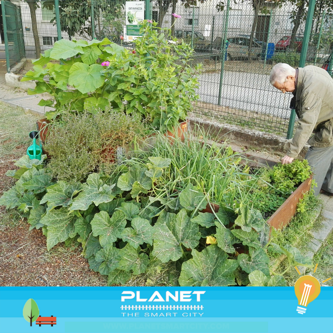 PlanetSmartCity's tweet photo. A mesi dalla fine di #PlanetSmartSquare, i #Cittadini continuano a portare avanti gli #OrtiUrbani, le persone sono il cuore della #SmartCity https://t.co/Xm5Pp4wNGu