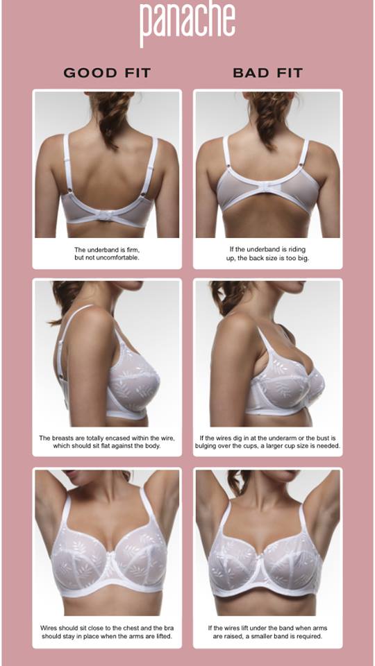 Isabella Lingerie on X: Call In for Professional Bra Fitting