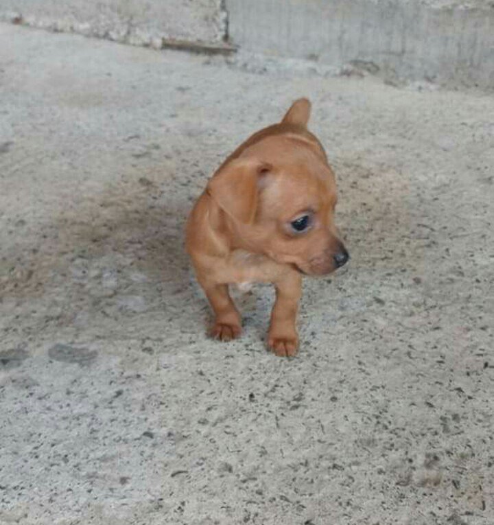 FabrcioBritoo's tweet image. #BetaQuerLab #BetaRetweeta #BetaAjudaBeta