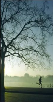 #CityWellness GETTING OUT OF THE GYM... With eight stunning Royal Parks <a href="/CityWellnessUK/">City Wellness</a> fitness is not restricted to the office space