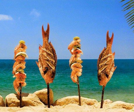 SaludMBT's tweet photo. Something for everyone on Mexico’s Pacific Coast - https://t.co/rSkQXYNNdX https://t.co/eP2HbetyhF