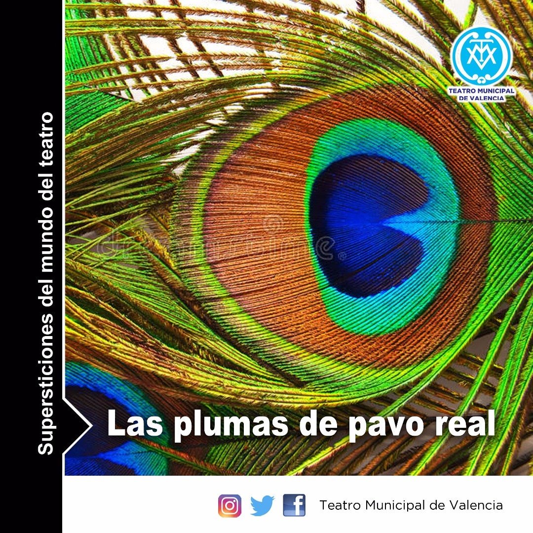 Las plumas del pavo real están mal vistas no solo en el teatro. Los coloridos dibujos de estas aves, parecen tener la culpa de ello