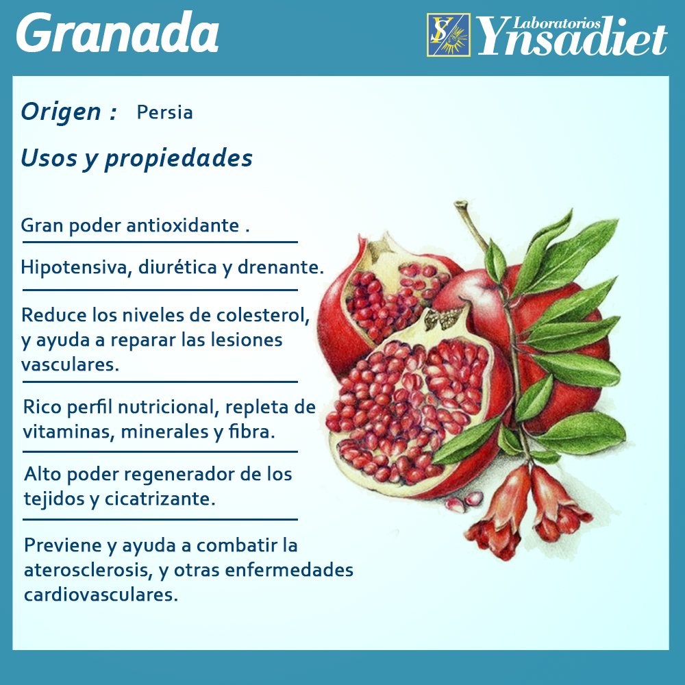 Ynsadiet's tweet photo. #PlantasQueCuran Las cápsulas de granada de #NutrioxProgram concentran todo el poder antioxidante de esta fruta potenciado por la #vitaminaC https://t.co/EWm5DNeEbT