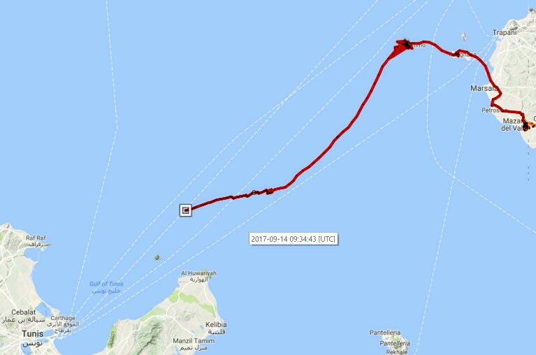 Captive-bred Egyptian vulture Apollo, that had been released in Southern #Italy, made it to #Tunisia! See 4vultures.org/news