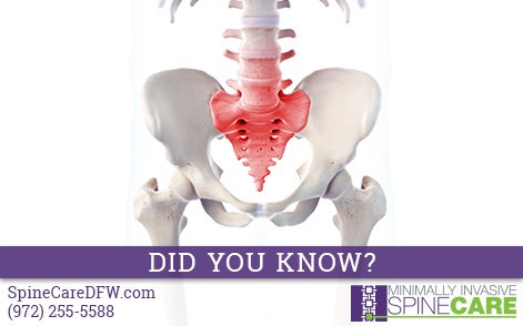 SpineCareDFW's tweet photo. #DYK that the sacrum is a large, wedge-shaped vertebra that intersects w/ the hip bones to form the pelvis at the base of the spinal column? https://t.co/GLYItiOAbe