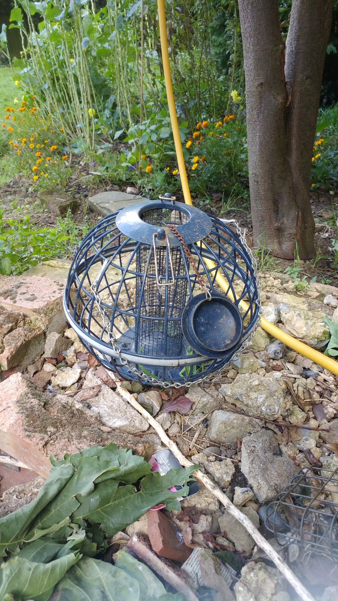 AelwynR's tweet image. Not so much #TinFoilDeathstar more bird feeder Deathstar