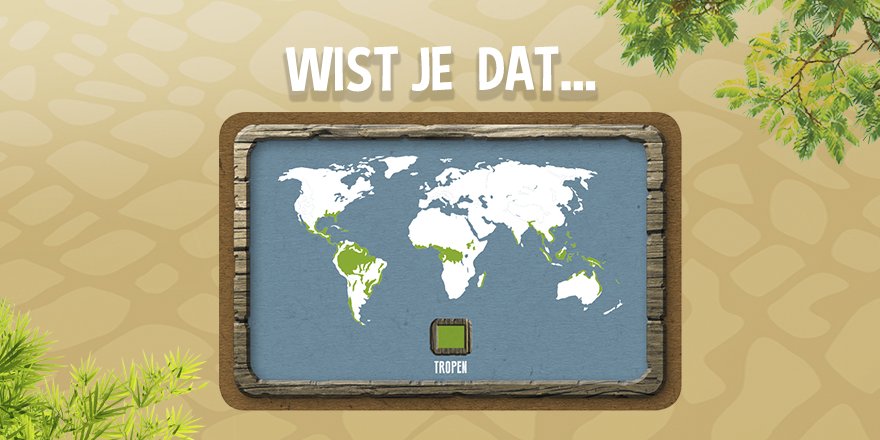 playjustgames's tweet photo. Wist je dat 50% van alle planten en dieren leven in de tropen. #MyZoo #weetjes #justgames https://t.co/cJkWEgBsSx