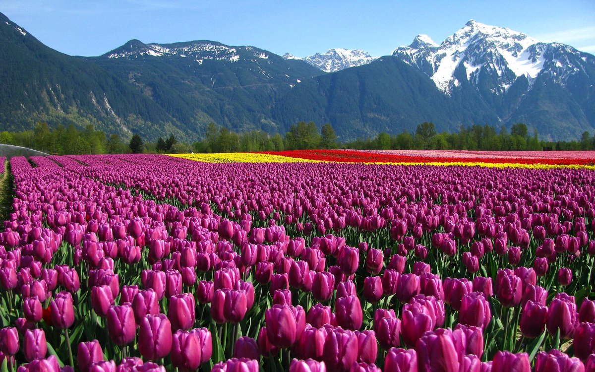 aryavritindia's tweet photo. Places to visit in Srinagar:- https://t.co/pIpQNkk9Nu
#WatchItOrNot #traveldiaries #swachhtaHiSeva #PRAXIS6 #tvsapacheRTR #LondonUnderground https://t.co/45nQsj9T6L