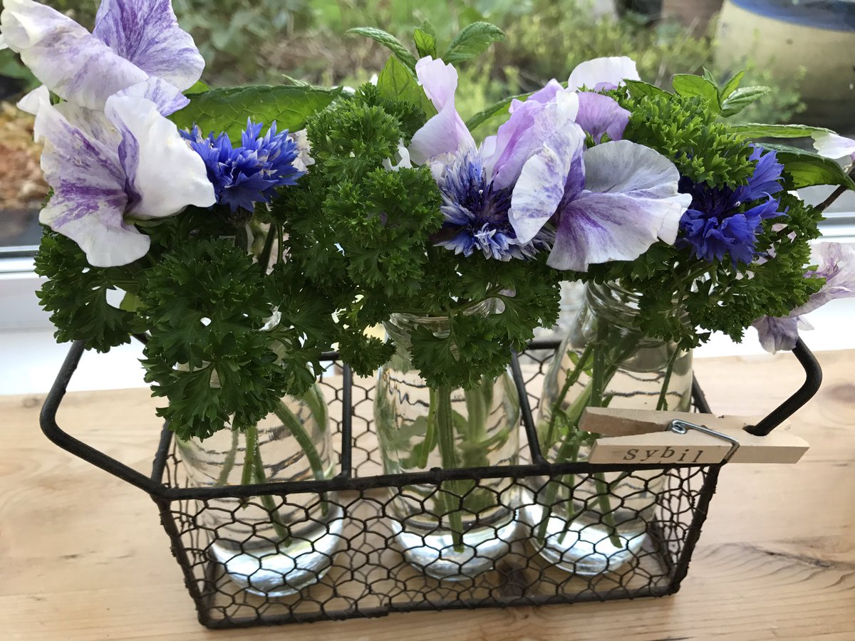 SybilRuscoe's tweet photo. Last #sweetpeas of the summer @WrenCurious @kate_cambridge5 https://t.co/JqdEfklw24