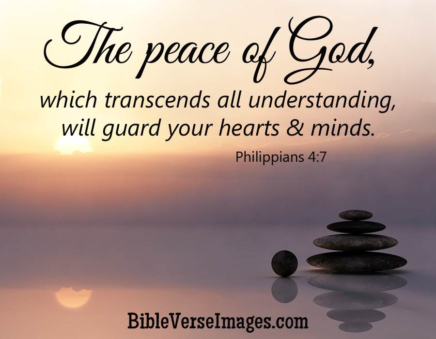 cselston's tweet image. 