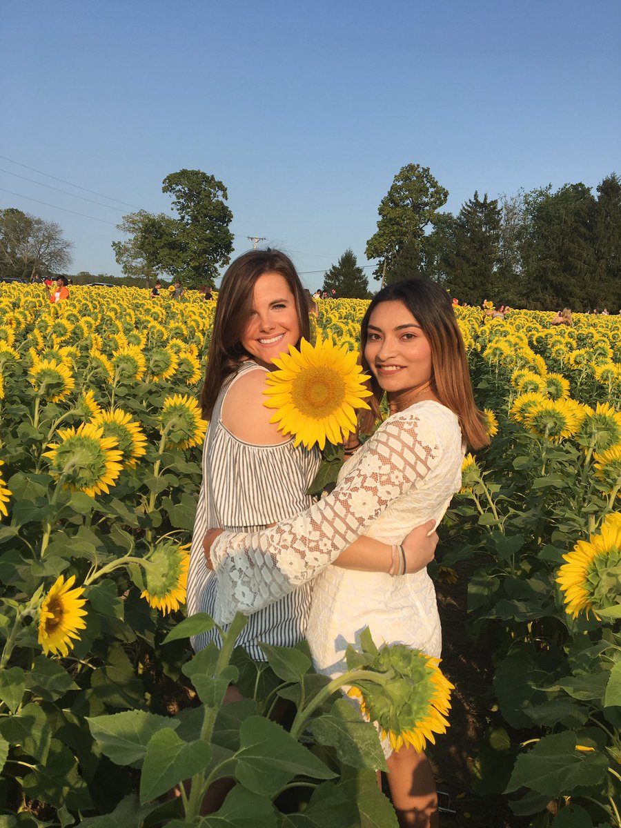 vane_orduna's tweet photo. 🌻🌻🌻 https://t.co/xEDYhuSBlQ