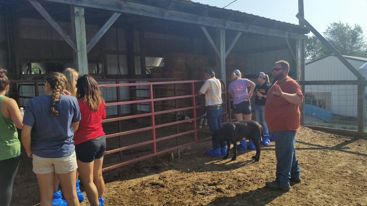 jcmackeyrd's tweet photo. @MizzouHES dietetic interns visited a beef and dairy farm today. #milkislocal #knowyourfood @MidwestDairy https://t.co/o4qQCjvOIg