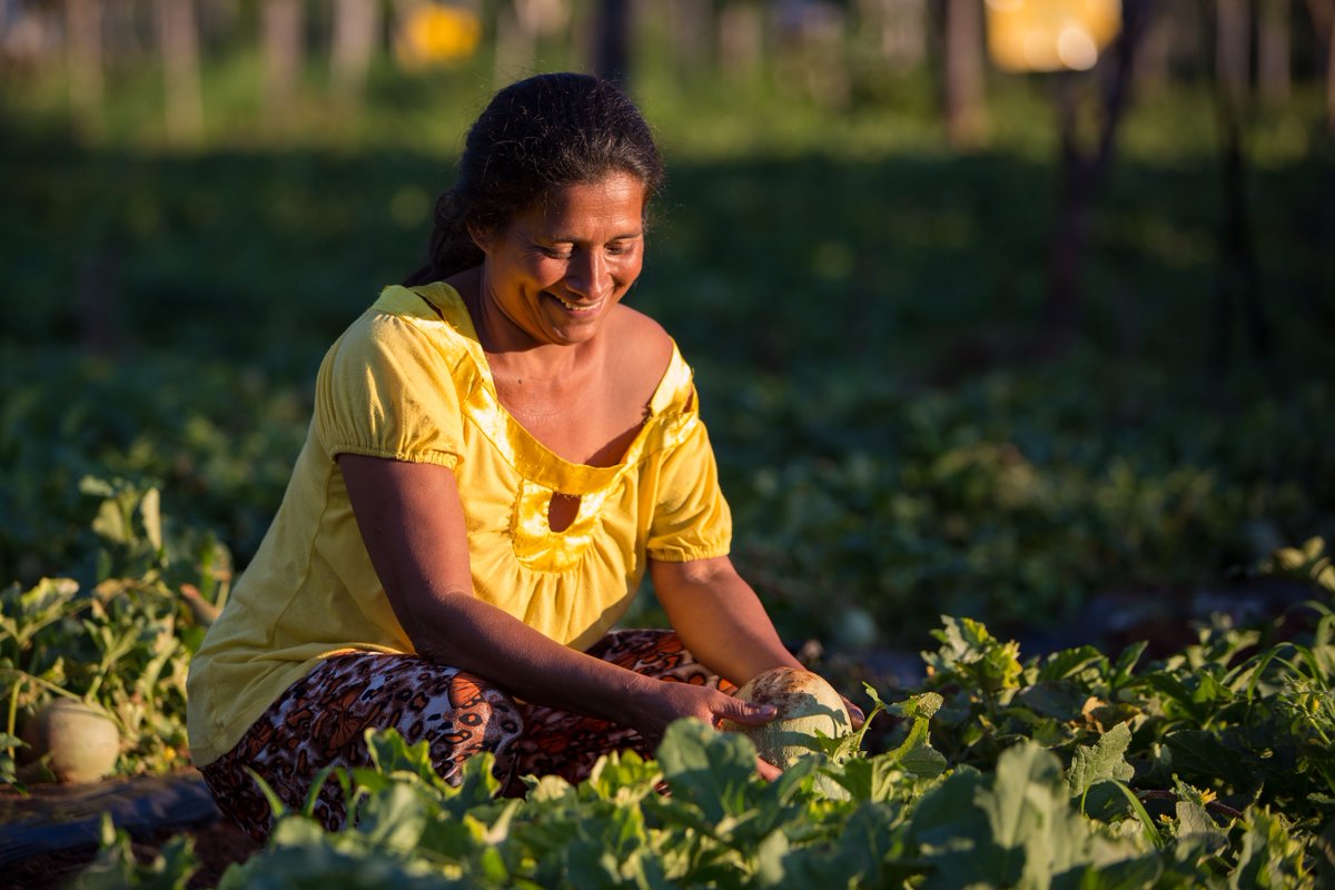 "Success is the sum of small efforts, repeated day in and day out."-
 Robert Collier