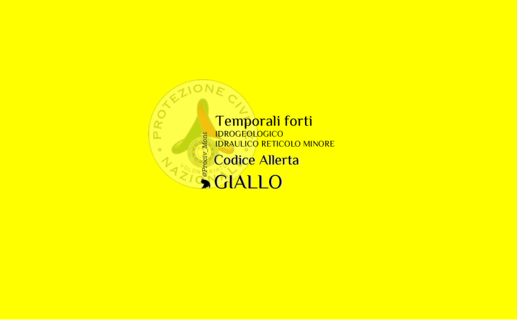 Prociv_Mont's tweet photo. #AllertameteoTOS area #V #Montignoso Vigilanza codice GIALLO per temporali e rischio… https://t.co/OL8TfIAY4K https://t.co/yijtMerXdZ