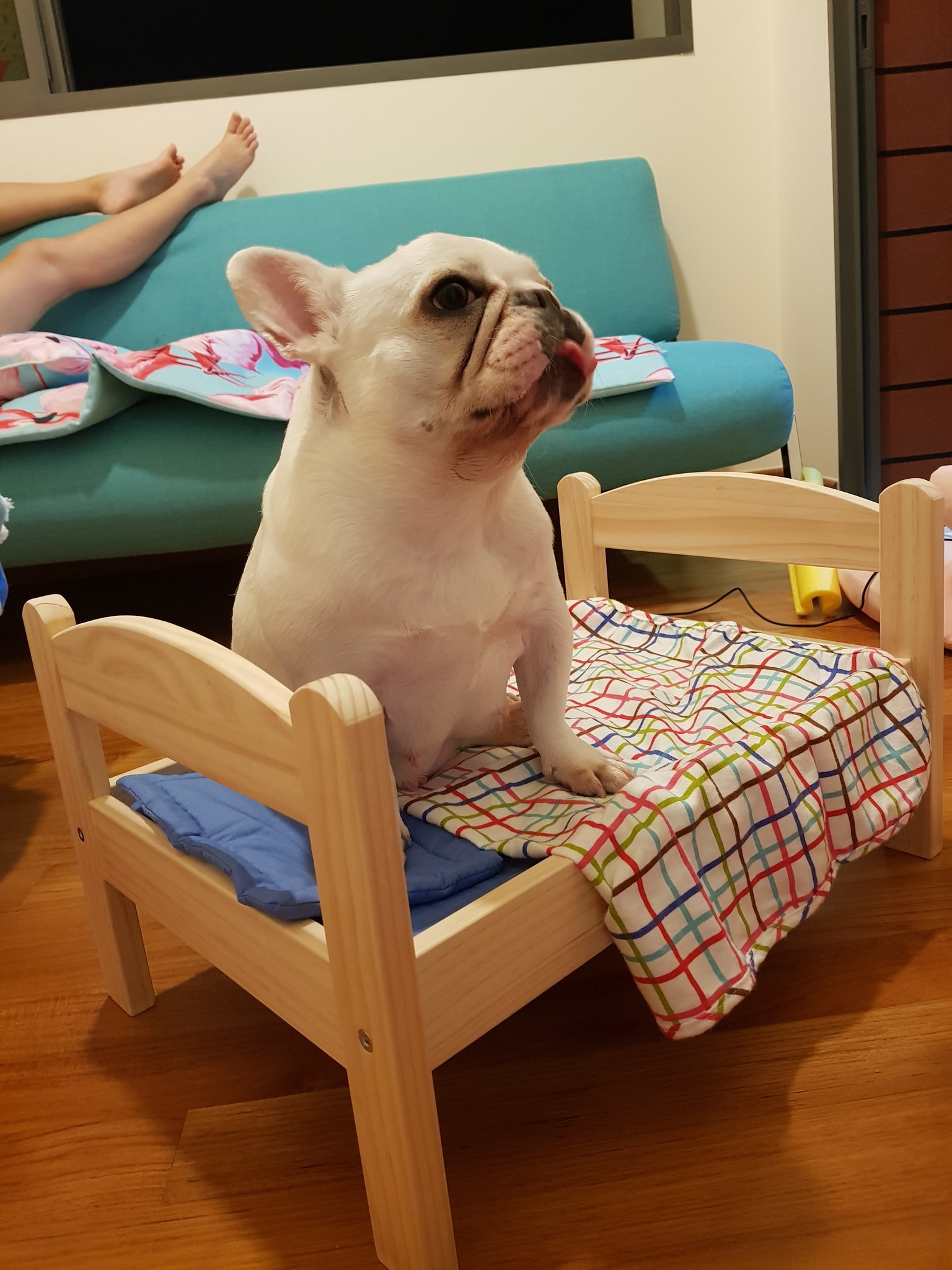 ikea doll bed canada