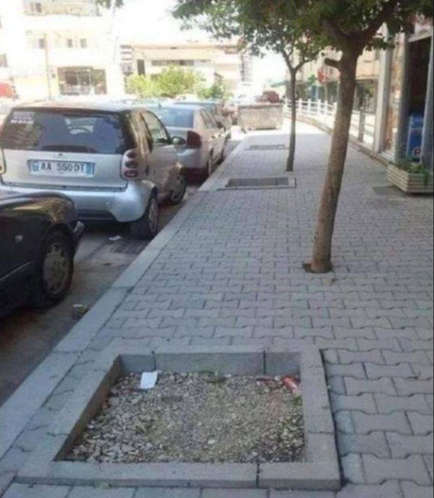string[] sidewalk = new string[2];sidewalk[0] = "dirt";sidewalk[1] = "border";sidewalk[2] = "tree";(via @reddit) #DevHumor #FridayFunny