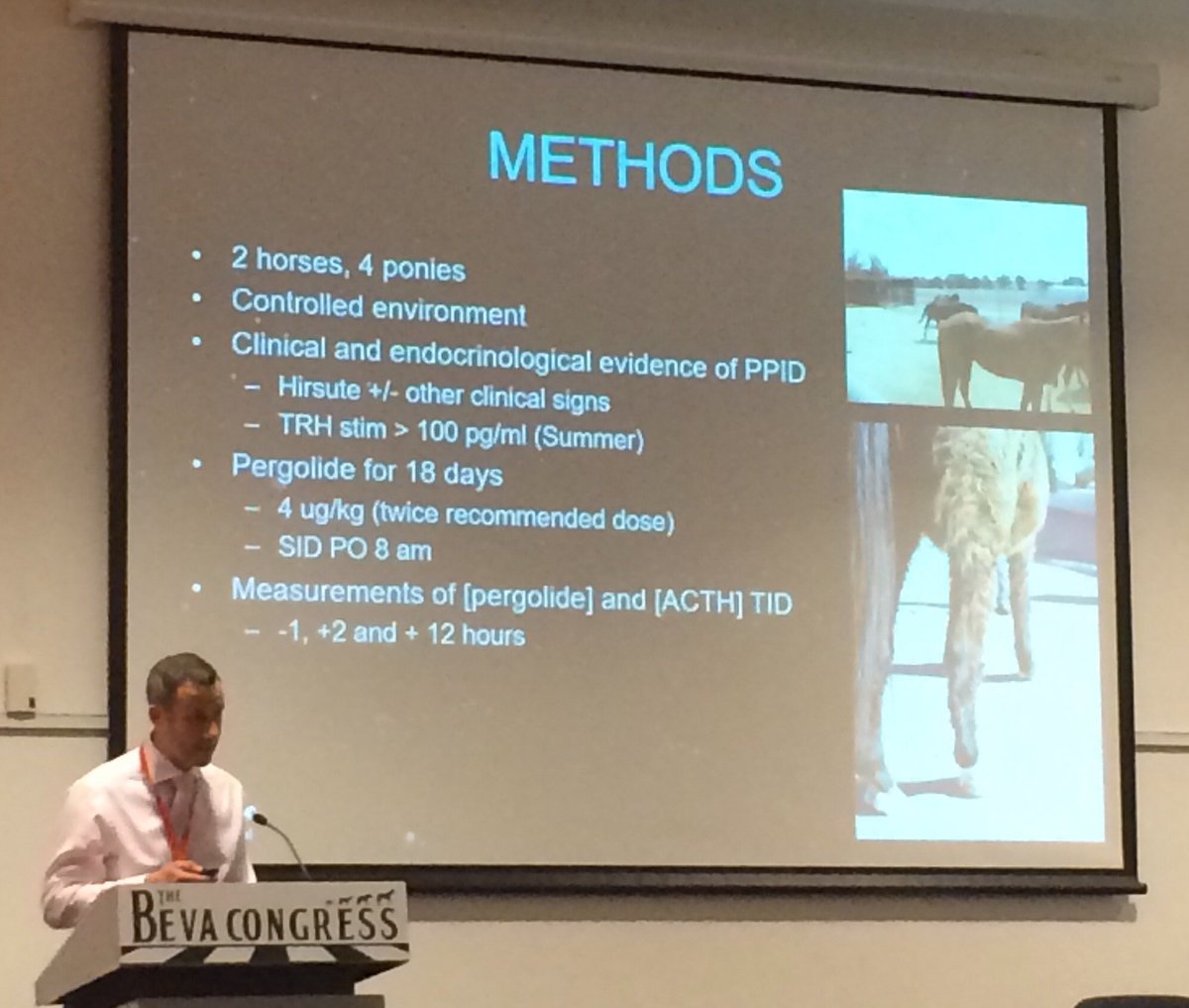 fizzy_wizz's tweet photo. Informative study broadening our limited knowledge on the pharmacodynamics of oral pergolide in horses with PPID #beva17 @EVJltd @BEVA_news https://t.co/ib2W26CnSZ