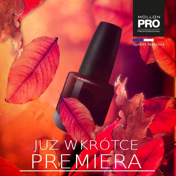 MollonPROcom's tweet photo. Już za tydzień pojawią się nowa kolekcja, która będzie rządziła tej jesieni. <3 
Jak myślicie jakie kolory będą królowały wśród nowości? 😍❤ https://t.co/JadduOcWtr