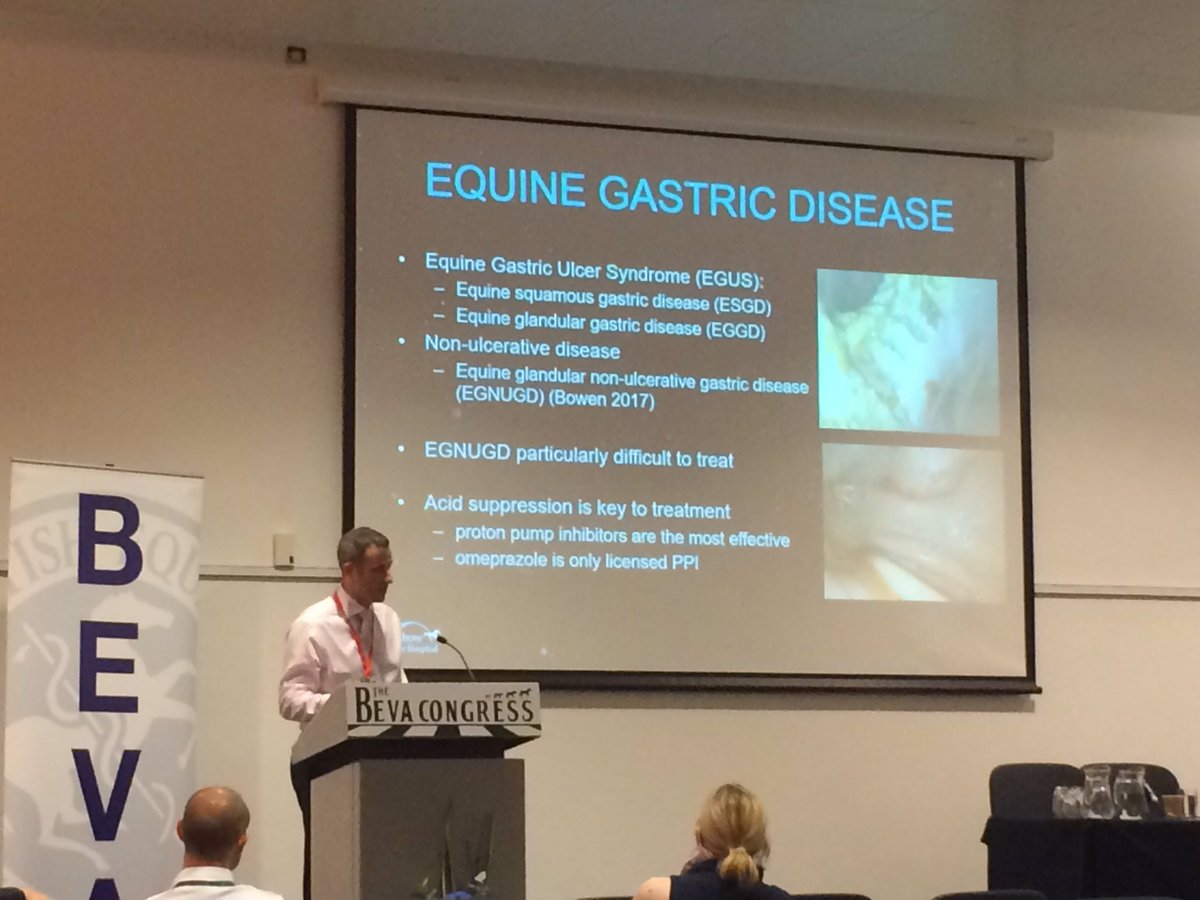 fizzy_wizz's tweet photo. Esomeprazole may be more effective treatment for squamous &amp; glandular gastric disease than omeprazole @REH_Vets #BEVA17 @EVJltd @BEVA_news https://t.co/UimuF2It5s