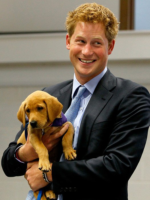 Happy Birthday Prince Harry!!        