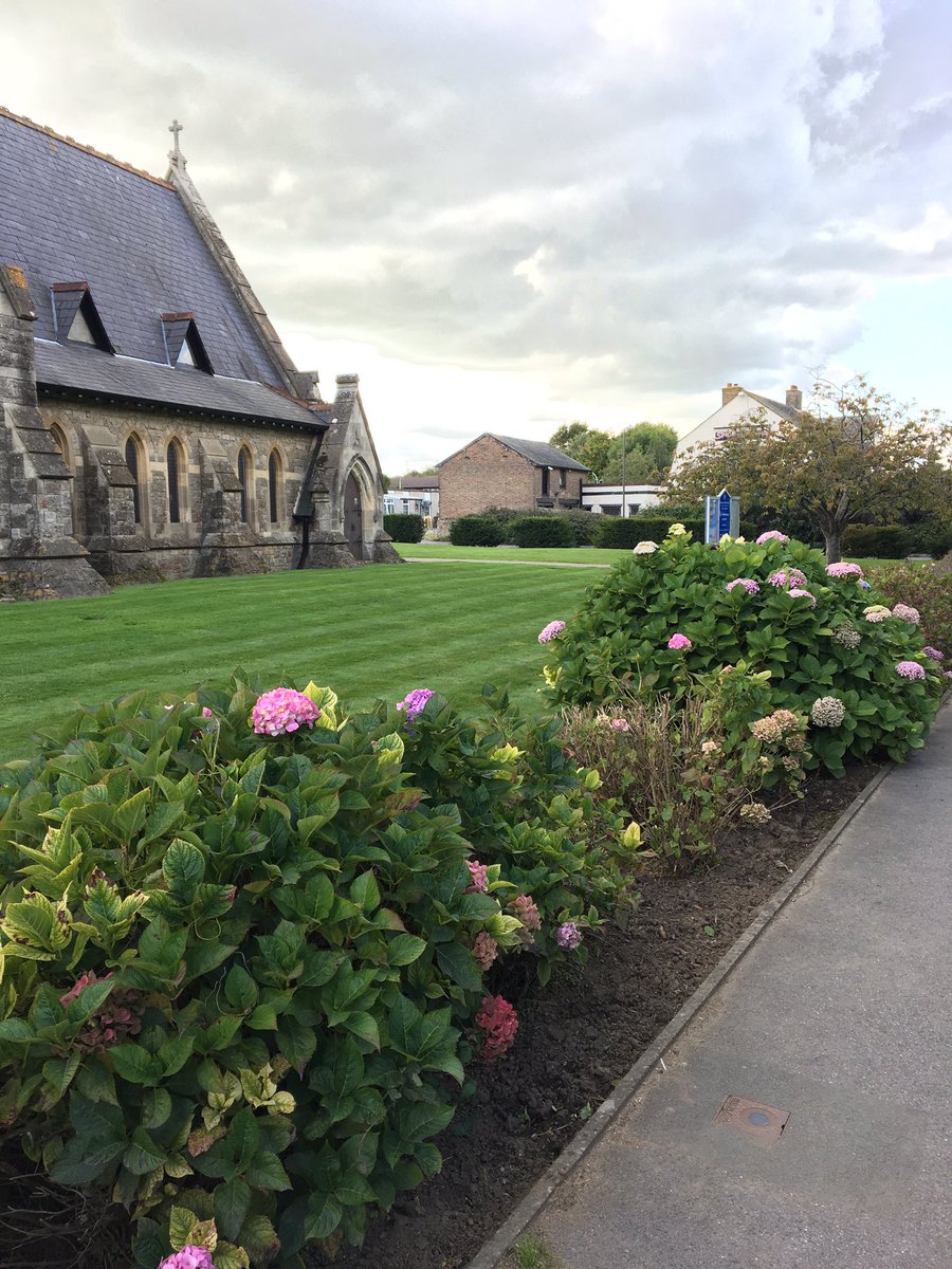 Bigheadz64 tweet media