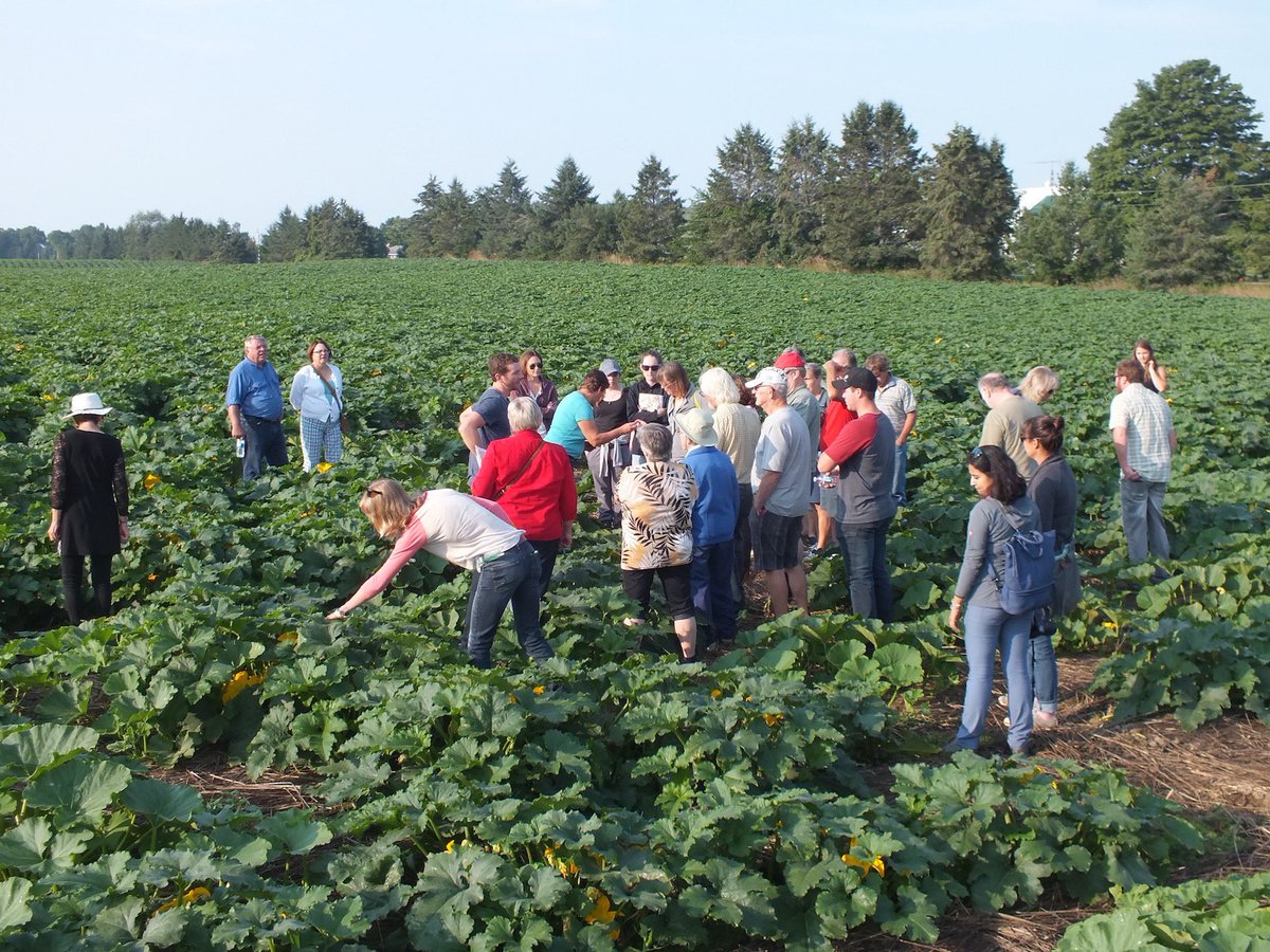 Nigel Raine (@nigeleraine) on Twitter photo Nice piece on creating farm "Habitats for berry bees & beneficial wasps" p16 <a href="/growernews/">The Grower</a> by <a href="/PateErica/">Erica Pate</a> #ONpollinator thegrower.org/sites/default/⦠Nice piece on creating farm "Habitats for berry bees & beneficial wasps" p16 <a href="/growernews/">The Grower</a> by <a href="/PateErica/">Erica Pate</a> #ONpollinator thegrower.org/sites/default/ā¦