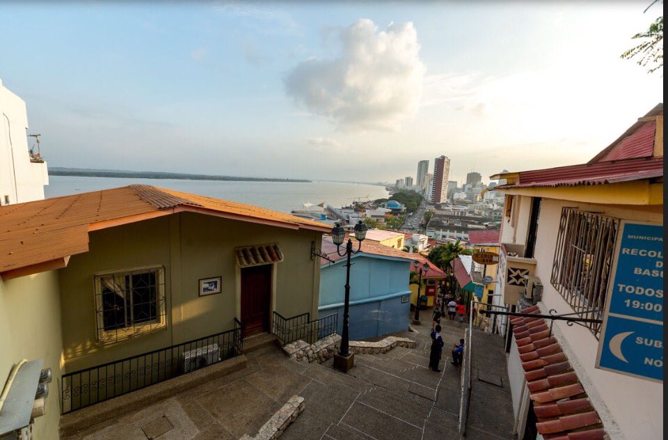 Ñan Magazine tweet media