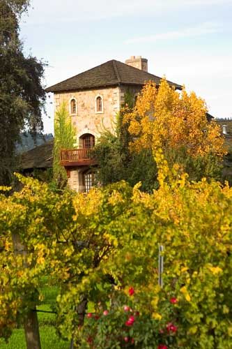 EMKDesigns's tweet image. #FridayFace...