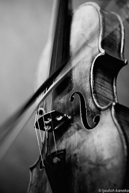 d_glancey's tweet photo. #FavoriteSoundFriday - A violin (submission from Cairo, Egypt). Tell us your favorite sound at https://t.co/OoyBEDEZzo ! #AudPeeps https://t.co/Rgy9gTszJV