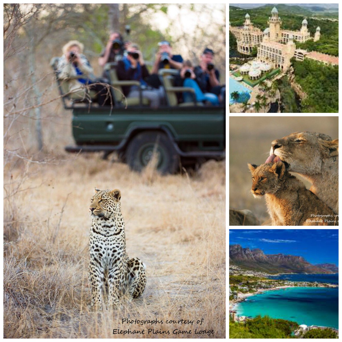 cinkitchallenge's tweet photo. South African Dream Experience. Live Auction Sunday night! 10 Nights with airfare for 4 people.  Questions: cinkitsponsorships@gmail.com https://t.co/FKFBsxdclX