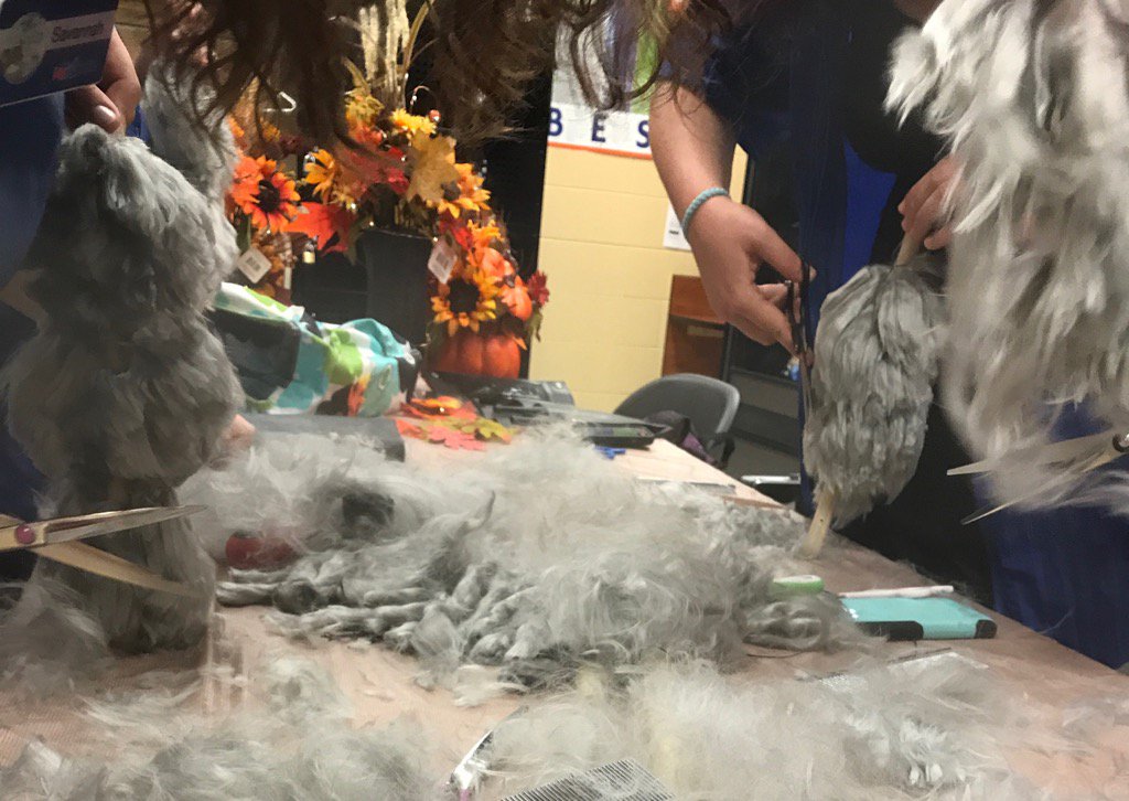 LLordPetSmart's tweet photo. Scissor practice with Angora yarn :) https://t.co/yV7EgFeVwu