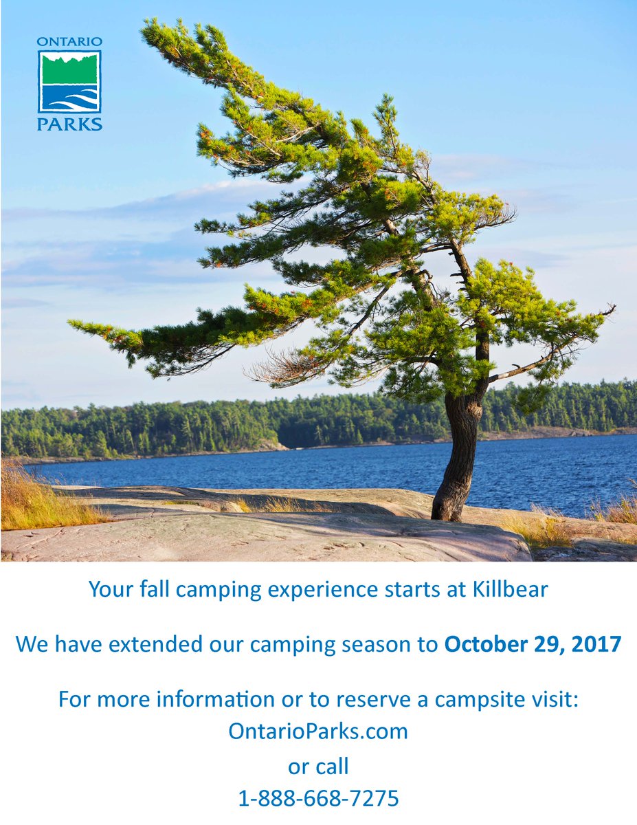 patrick_stott's tweet image. 