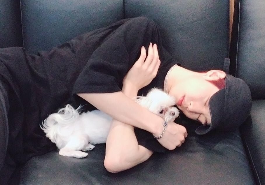 txamdirectioner's tweet image. Coco so cute little dog 🐶 💯💯 - #Tuc 🖤