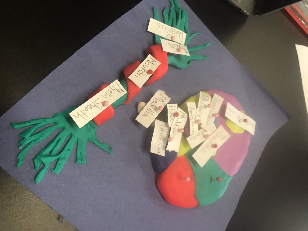 PrideandjoyMary's tweet image. Anyone need extra dopamine today?
Happy Friday!#accessing info #analyzing influences