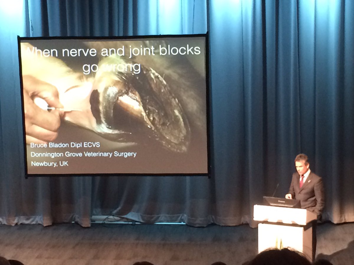 Brilliant talk by Bruce in the <a href="/LevyBoard/">Horserace Betting Levy Board</a> orthopaedic stream on the complications with diagnostic anaesthesia #beva17 <a href="/BEVA_news/">BEVA</a> <a href="/EVJltd/">BEVA Journals</a>