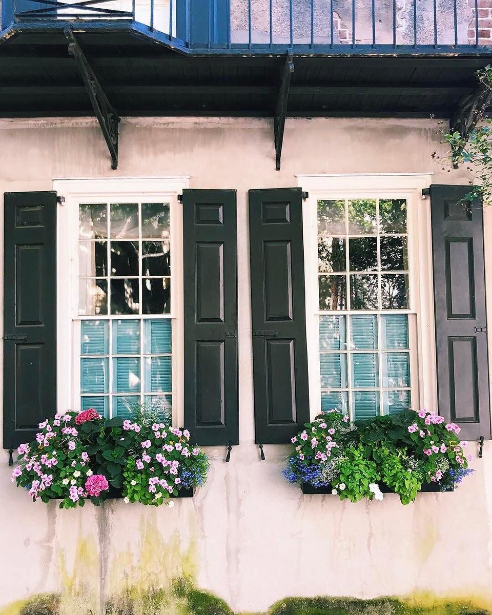 Happy #WindowBoxWednesday from #Charleston! Image captured by <a href="/lucycuneophoto/">lucycuneophoto</a>