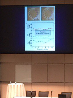 NU Ctr for Bioethics tweet media