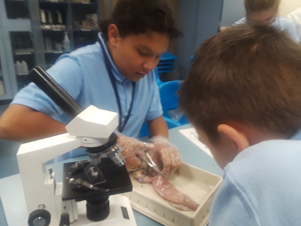 I can see oceans of possibilities!