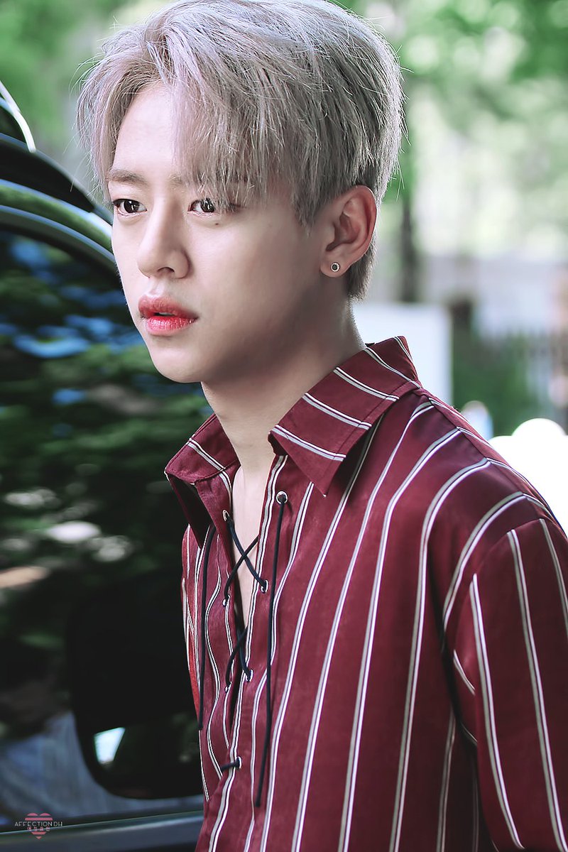 애정표현 tweet media
