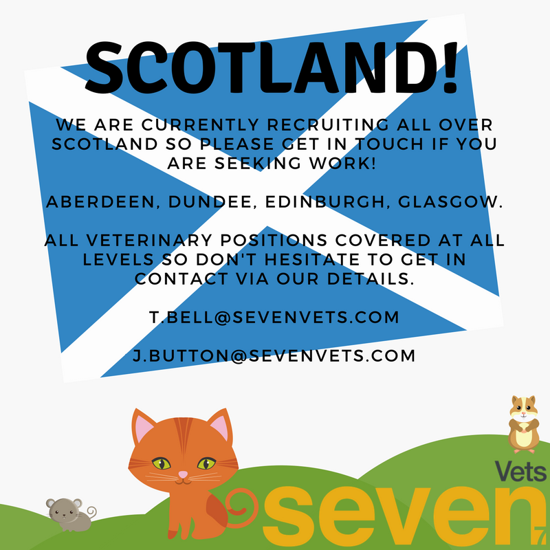 SevenVets tweet picture