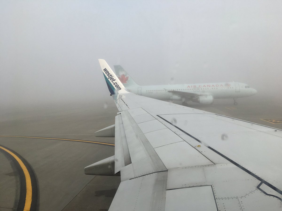 palaeobeth's tweet photo. When you try to emigrate to the US & your country responds by rolling in the fog & grounding all planes. #doesntbodewell https://t.co/C0Wf8uWbUU
